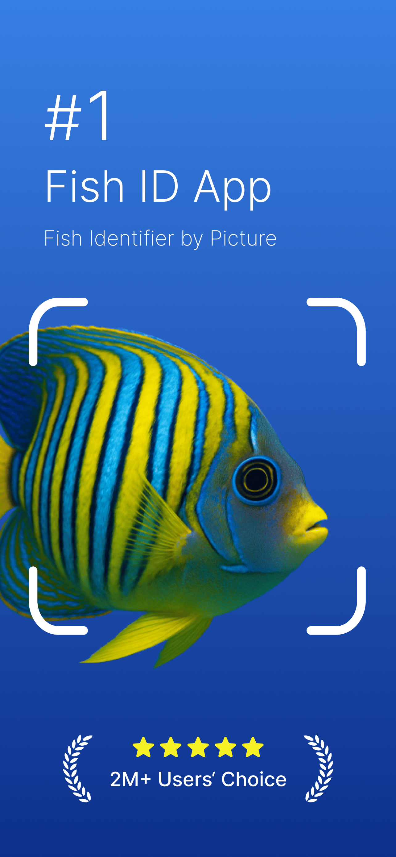 FishVerify app main screen showing camera interface for fish identification